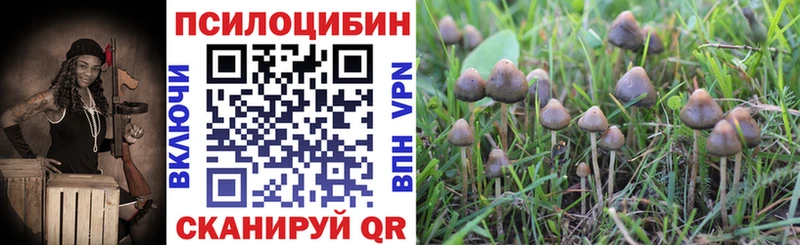 Псилоцибиновые грибы GOLDEN TEACHER  Елец 